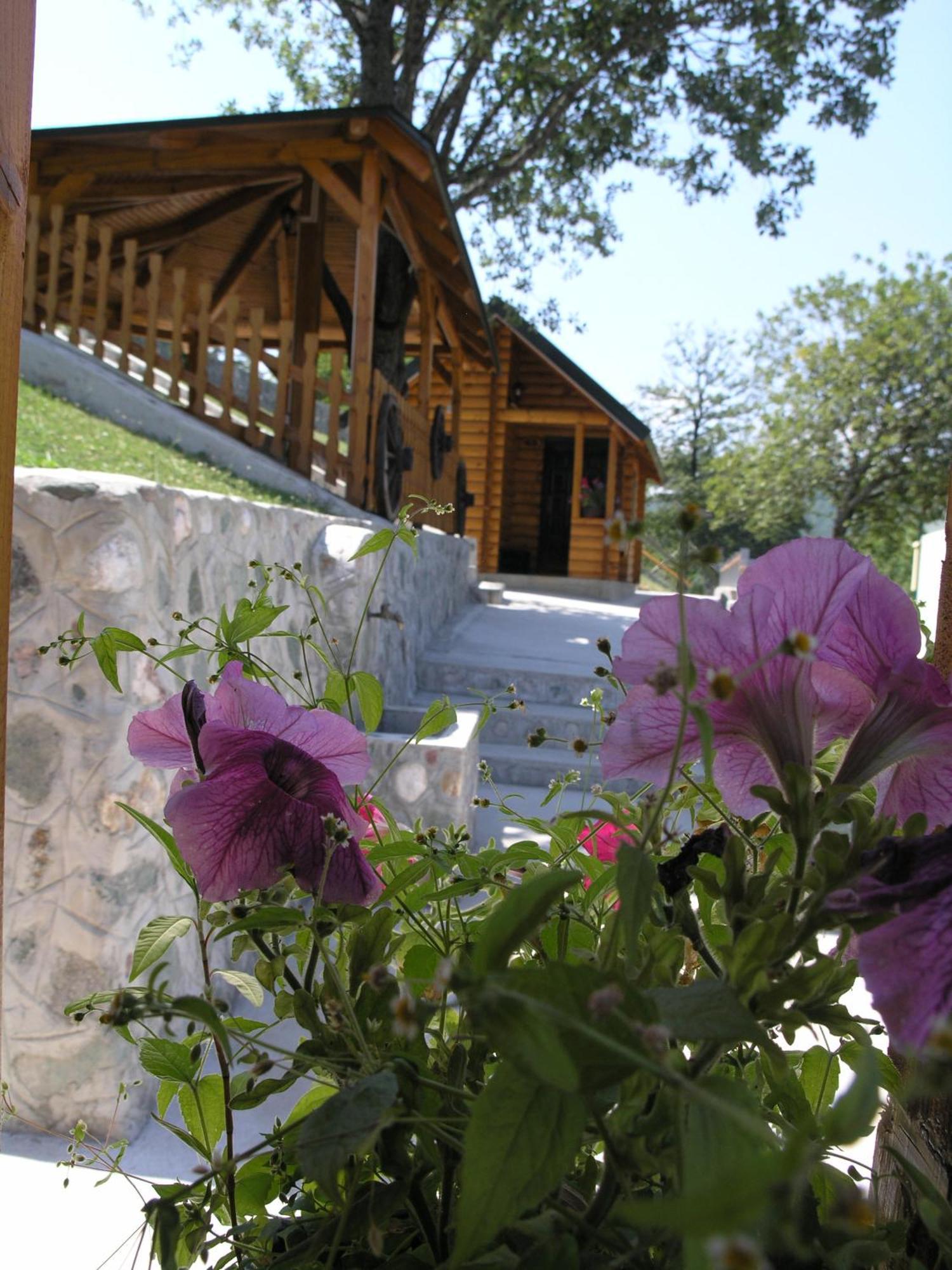 Motel Krstac Mojkovac Rum bild